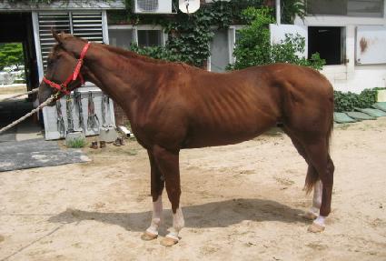 ��������� ����