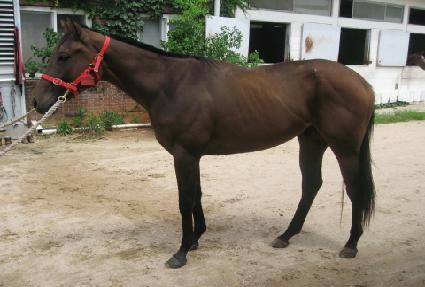 ����Ű��Ʈ��Ʈ ����