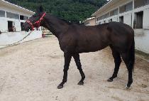 NOBODY CATCH ME picture