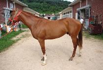 Ȧ����ӽ��͵� (HOLD THE MUSTARD) ����