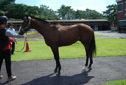 �������̴� ����