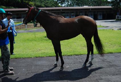 ������Ƽ ����