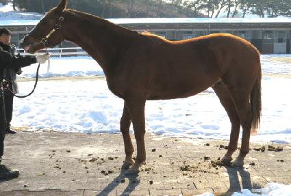 �񽴸� ����