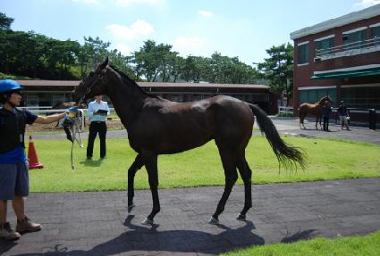 ���ǿ��� ����