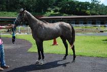 ����½ (HAENGUN BEONJJEOK) ����