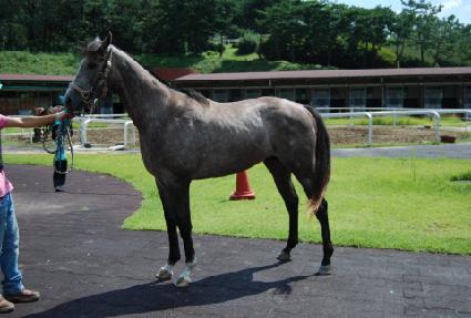 ����½ ����