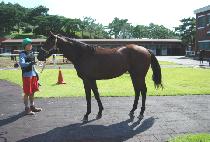 ���� (YEONDU) ����