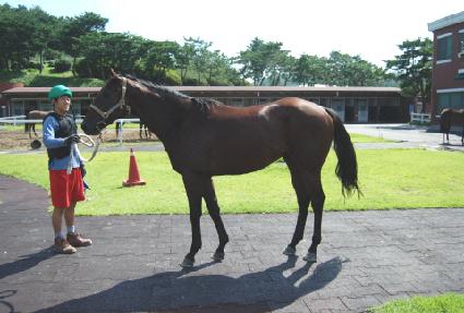 ���� ����