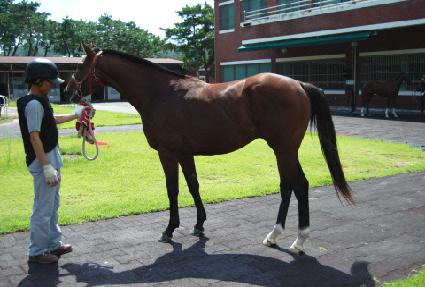 ���ǵ巯�� ����