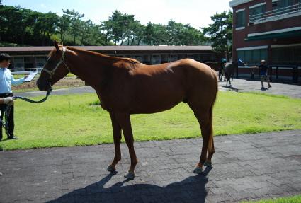 ������Ʈ�� ����