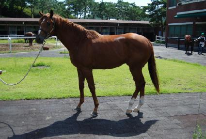 �۽�Ʈĭ ����