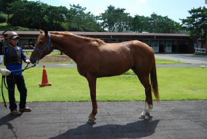 �Ͻº��� ����