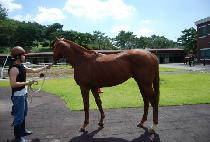 ���󴩸� (JEONGSANG NURI) ����