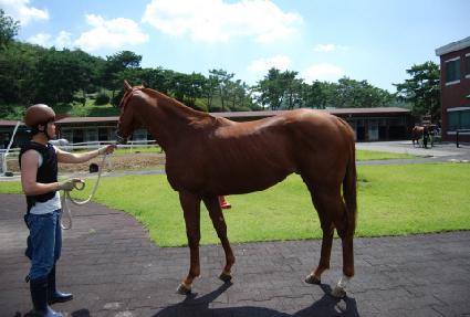 ���󴩸� ����