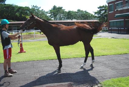 �������� ����