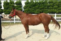 �޼���� (DALSEO SARANG) ����