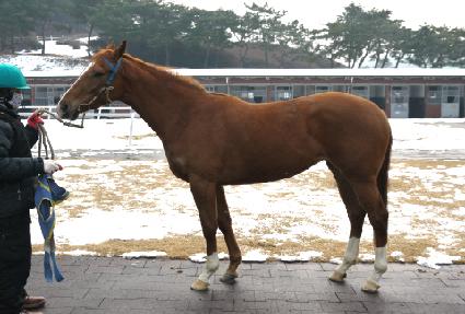 ���̼� ����