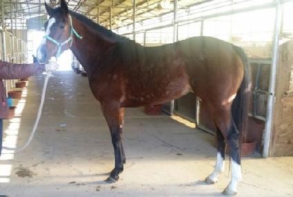 �ο����� ����