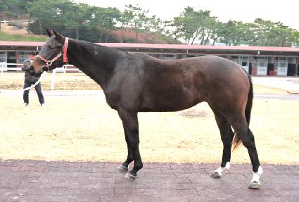 �������Ľ� ����