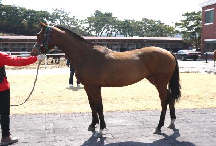 �α׶��λ� ����