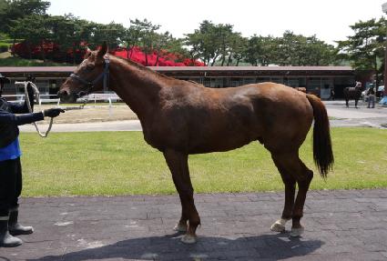 �������� ����