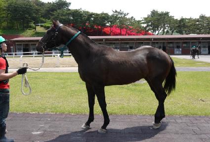 ������Ÿ ����