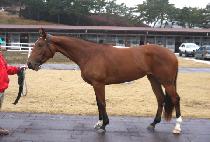 �հ������� (WANGGWANUI JUIN) ����