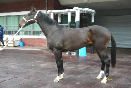 ���Ѱ��� ����