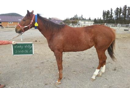 ����븮 ����