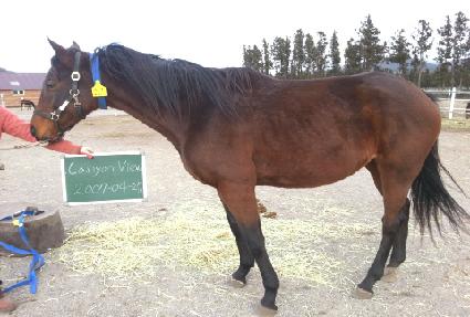 ĳ�Ͼ�� ����