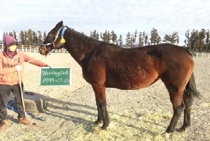 �������� ����