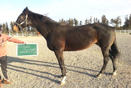 ���ް���Ÿ����Ʈ ����