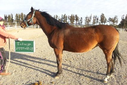 �׵����� ����