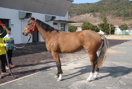 ���ִϸ�� ����