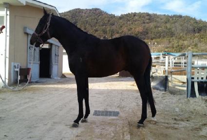 �⸷������ ����