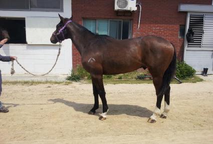 ���Ʈ���� ����