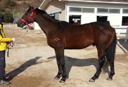 �Ϲ�Ȳ�� ����