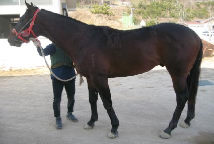 �Ҹ��� ����