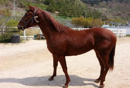 ��Ÿ��Ʈ ����