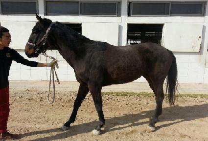 �����˷��� ����