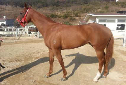 �������̵� ����