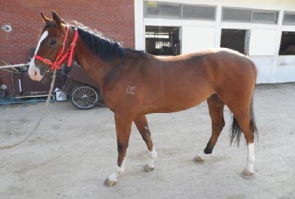 �ο��ö��� ����