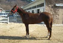 ���̺��� (MY BULPAE) ����