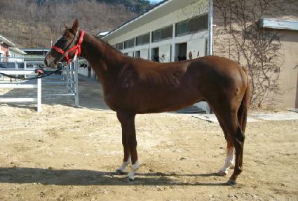 ���̺��� ����