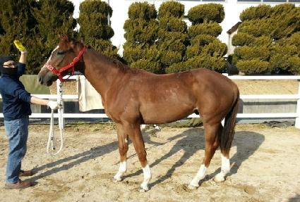 �泲���� ����