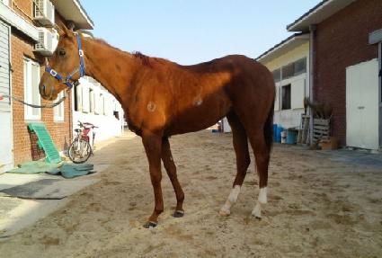 �����Ϲ� ����