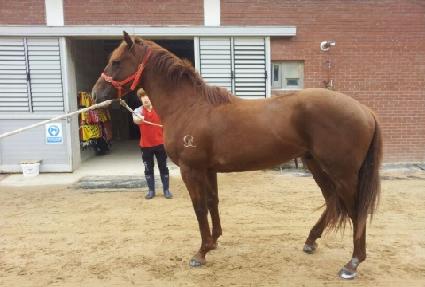 Ȳ�ݵ�� ����