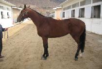 ���� (GUNJU) ����