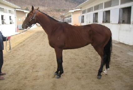 ���� ����