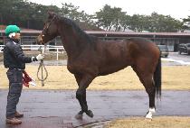 ����Ƽ������Ʈ (JUSTICE FOR MOST) ����